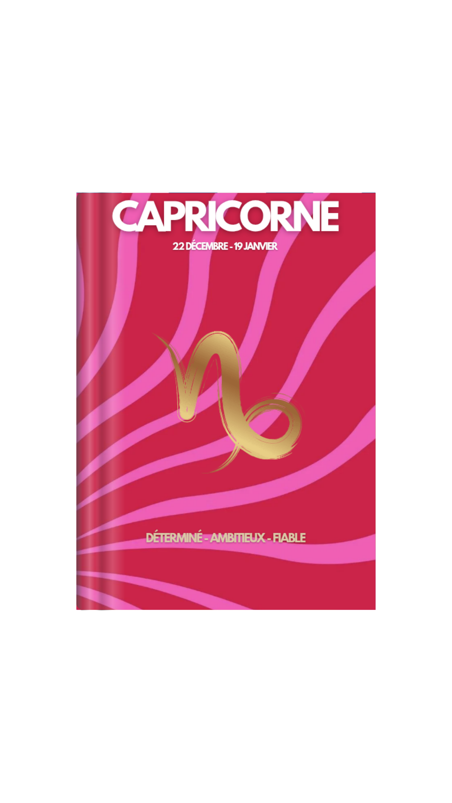 Capricorne Portrait Astrologique