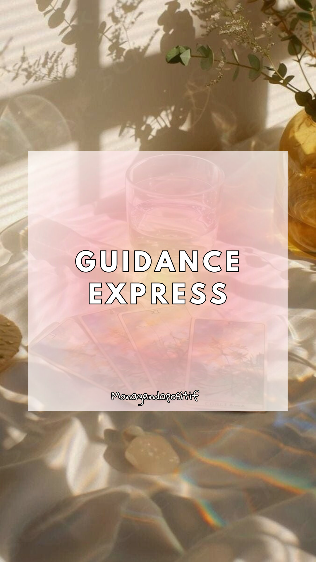 GUIDANCE EXPRESS