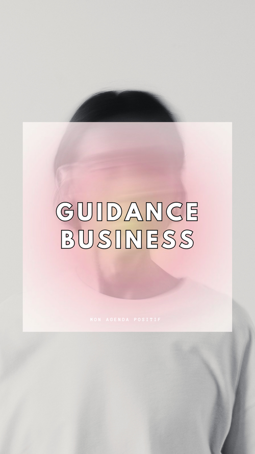 Guidance Business