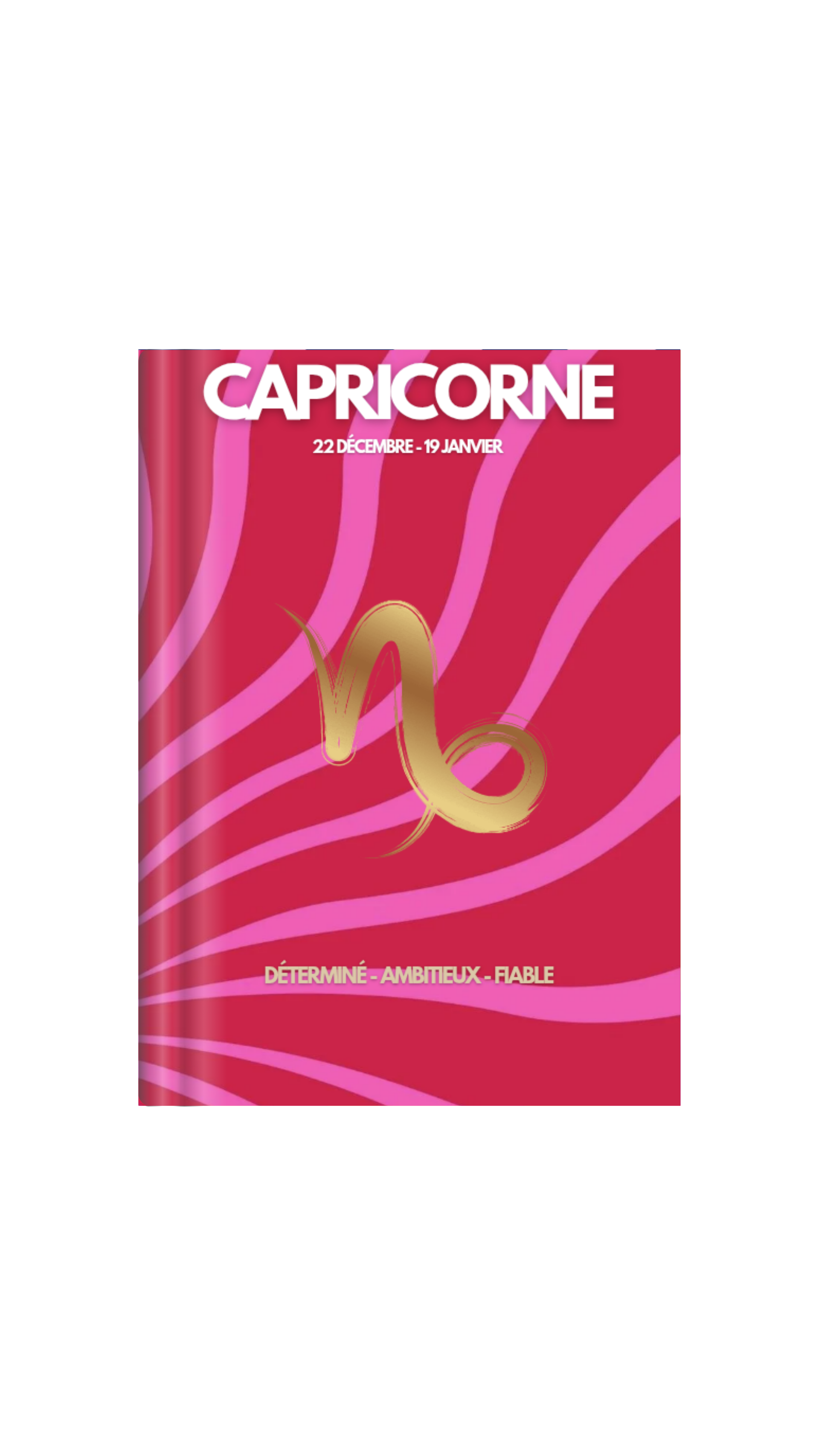 Capricorne Portrait Astrologique