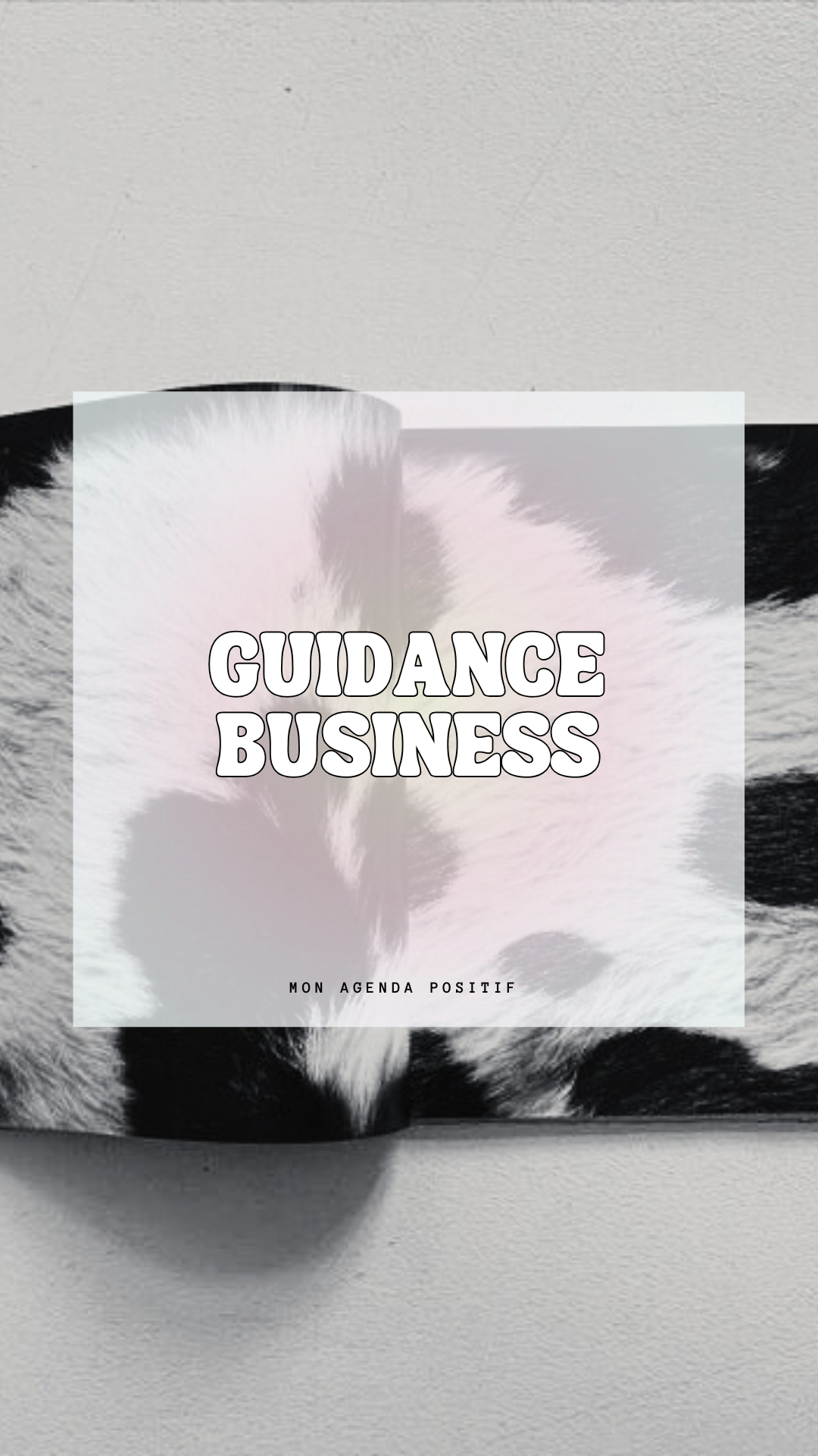 Guidance Business